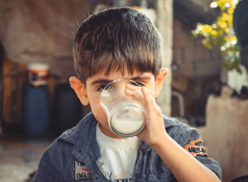 Does Drinking Dairy Make You Racist? A Milky Mirage of Politicized Academia