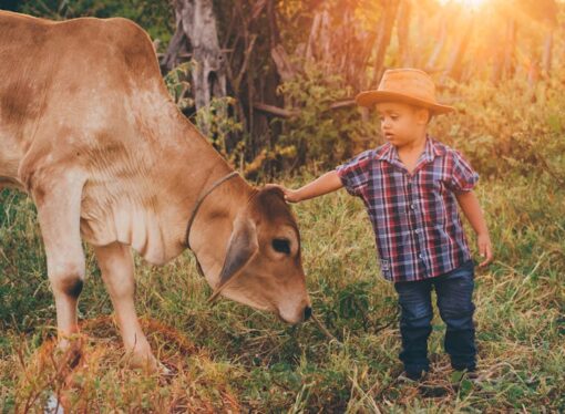The Farm Effect: Why Playing in the Mud Is Good for Your Kids