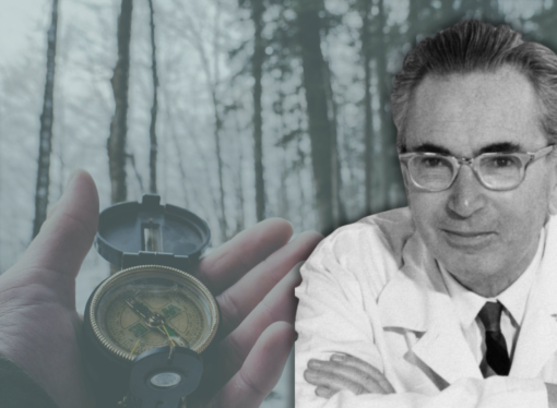Viktor Frankl and the Search for Meaning