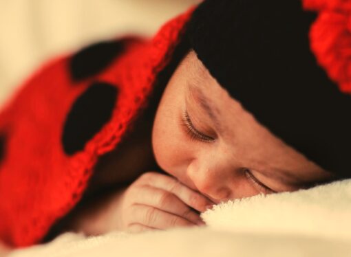 A Delicate Balance: What to Make of the Link Between Falling Bat Populations and Rising Infant Mortality