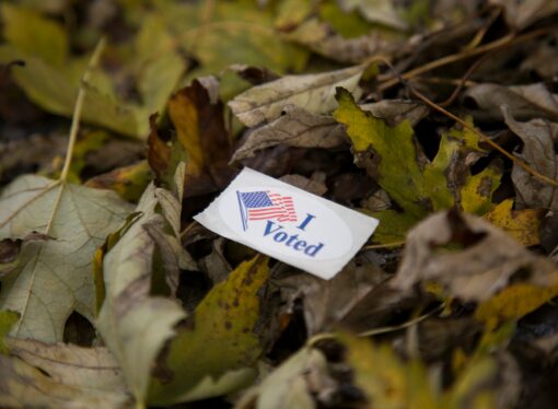 How to Get Through an Election Without Losing Your Mind