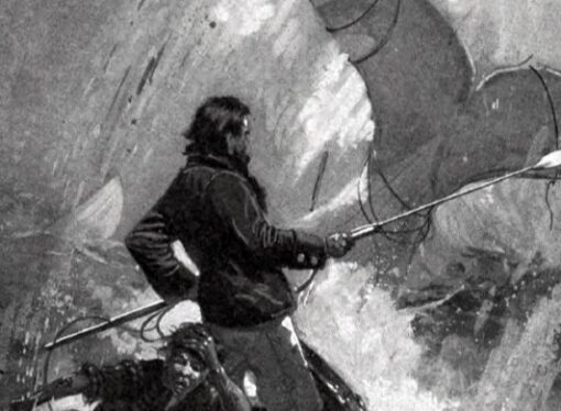 On Conquering White Whales: Stemming the Tide of Cultural Ignorance