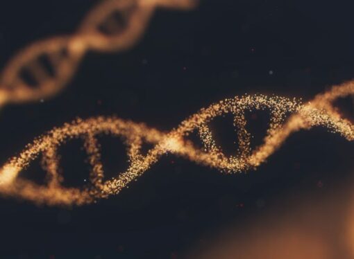What Role Genes Play in Culture