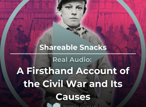 Shareable Snack: A Firsthand Account of the Civil War and Its Causes