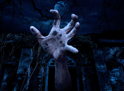 Lessons From the Zombie Genre