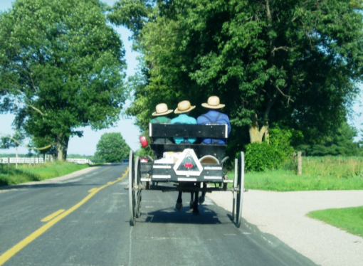 It’s Time for Amish Wisdom to Trump AI