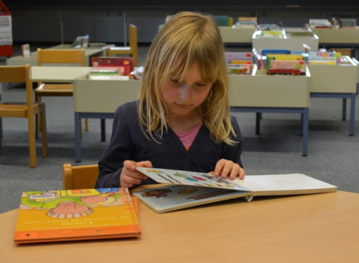 Getting Serious About America’s Literacy Time Bomb