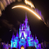 Making Dreams Come True Is More Than Wishing Upon a Star