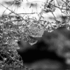 The Beauty of Broken Things