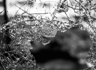 The Beauty of Broken Things