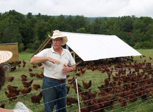 Hanging Out With the Homesteaders