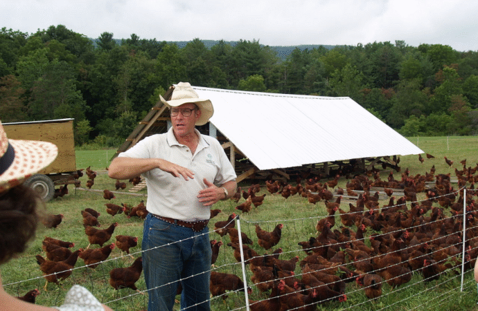 Hanging Out With the Homesteaders