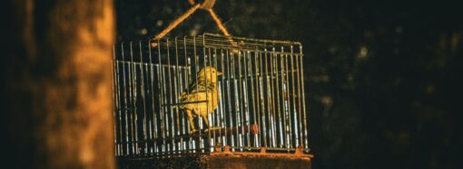 5 of the Coolest Biblical Archaeology Finds from 2016