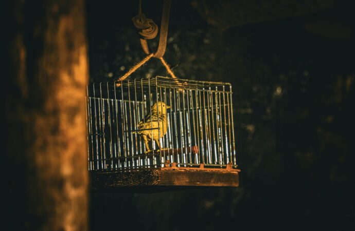 The Canary in the Coal Mine of Culture