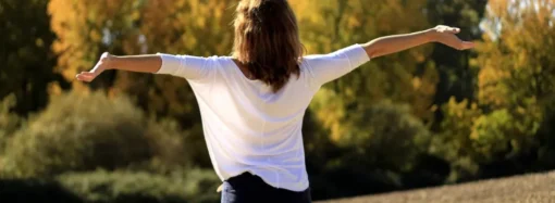 Mechanizing and Destroying