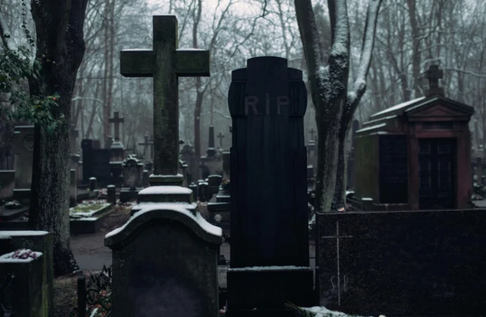 Remember, Remember, the Dead in November