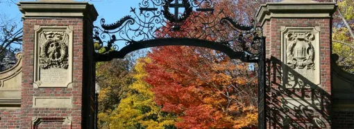 The Importance of Male Mentorship (and How to Find It)