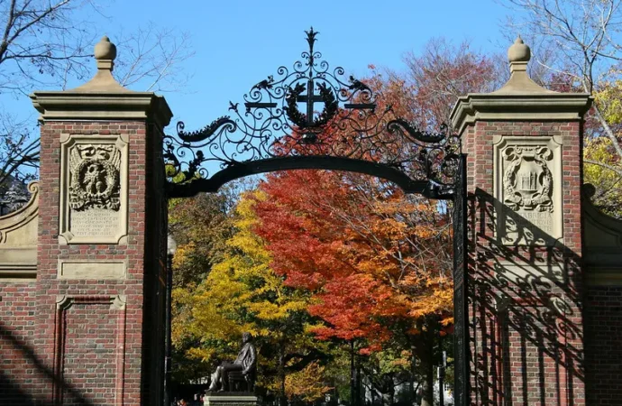 What Harvard Neglected in 1982