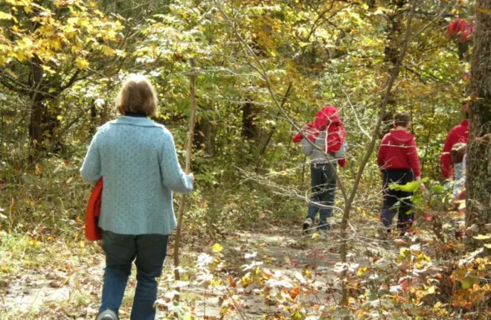 Taking School to the Woods