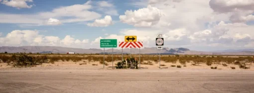 Are We All ‘Cat Persons’ Now? How Modern Dating Destroys Intimacy