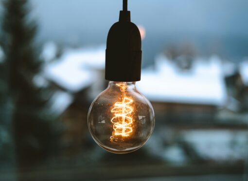 Are We Too Smart for Our Own Good?