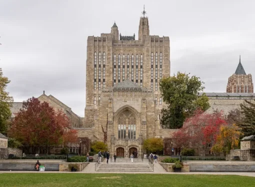 It Is Easy To Say ‘Don’t Go to Yale’ When You Went to Yale