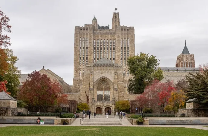 It Is Easy To Say ‘Don’t Go to Yale’ When You Went to Yale