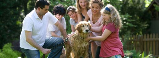 When Santa Claus was Replaced by Ded Moroz