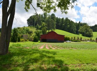 How To Start Cultural Restoration in Our Own Families