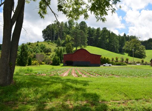 How To Start Cultural Restoration in Our Own Families