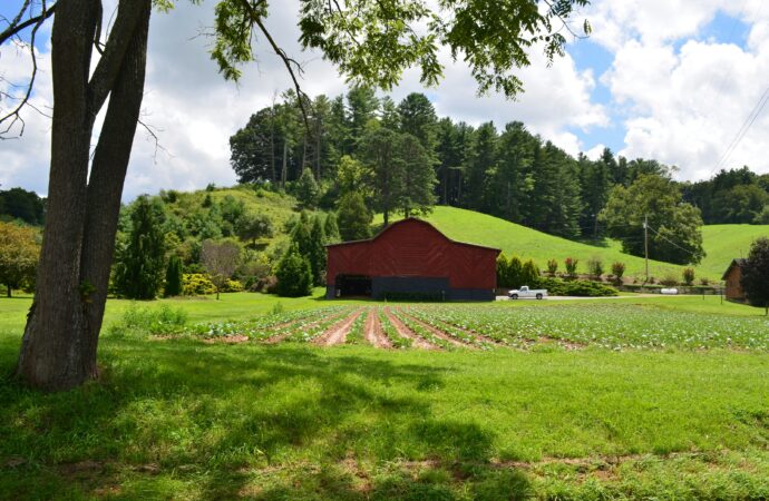 How To Start Cultural Restoration in Our Own Families