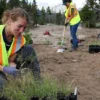 Make Volunteering Great Again