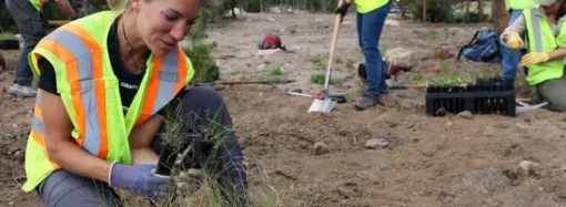 Make Volunteering Great Again