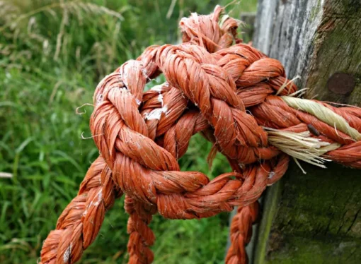 The Freedom of Being Tied Down