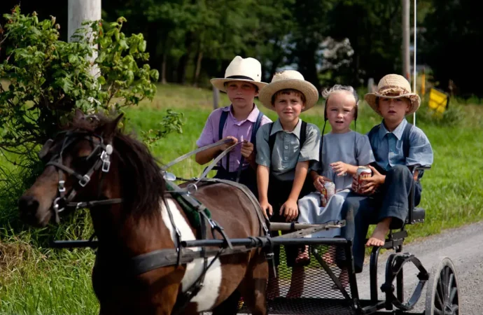 Mastering Technology the Amish Way