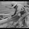 The Importance of Building Small