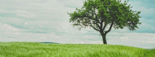 Blog 1 Column Left Sidebar